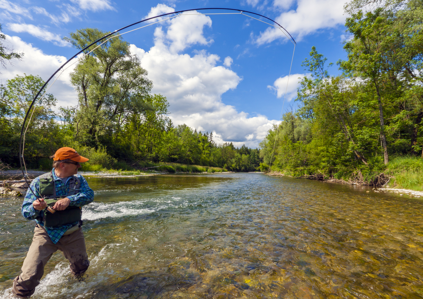 A fisherman is fly fishing in a beautiful river and his fishing rod is bent.