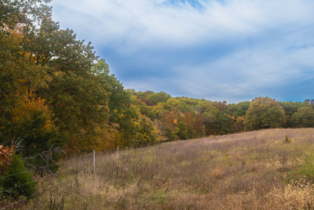 An open field bordered by trees with leavings changing colors for the fall.